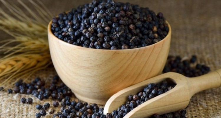 معجزه ترکیب شدن فلفل سیاه با این ۵ ماده خوراکی؛ جذب ویتامین‌ها را تا ۲۰۰۰ درصد افزایش دهید