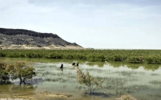 موجودی با قدمت ۳۰۰ میلیون سال دوباره جان گرفت