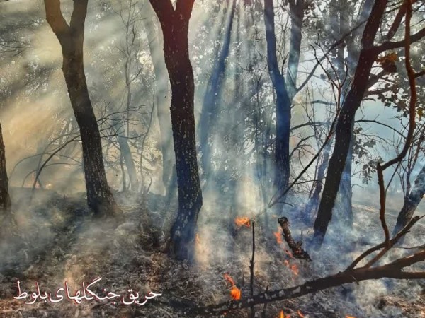 بی احتیاطی در روشن کردن آتش خسارت جبران ناپذیری به منابع طبیعی می زند