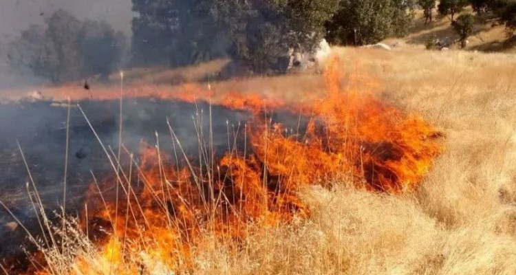 هشدار اداره منابع طبیعی هرسین به کشاورزان؛ از آتش زدن بقایای گیاهی خودداری کنید