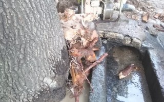 تلاش پرسنل آبفای هرسین جهت رفع شکستگی خط اصلی شبکه آبرسانی
