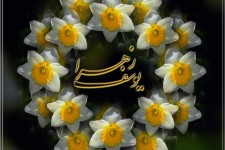 مولای من....