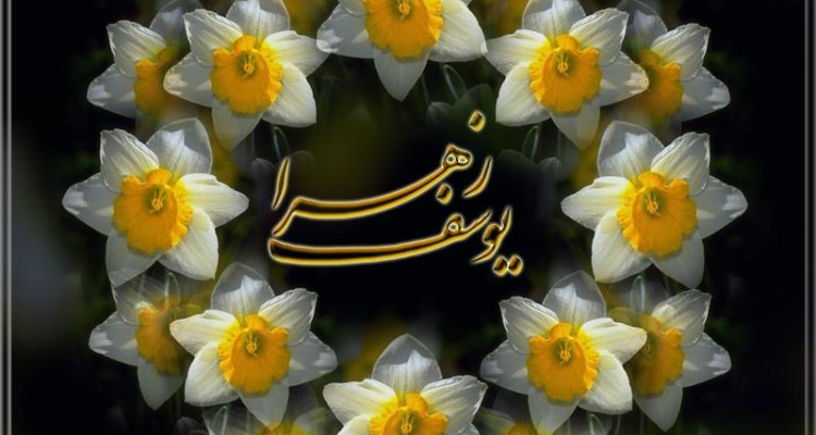 مولای من....