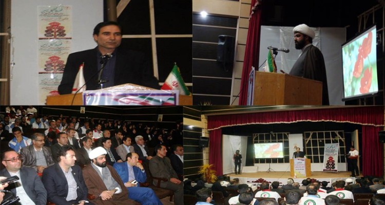 حجت الاسلام باقری:بقیه ارگان ها در بکارگیری جوانان باید از هلال احمر یاد بگیرند/امیریان: برای کاهش آلام و آسیب ها یک روش اساسی وجود دارد و آن  آموزش و آگاهی است