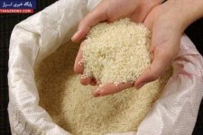 چگونه برنج پلاستیکی را تشخیص دهیم؟ 