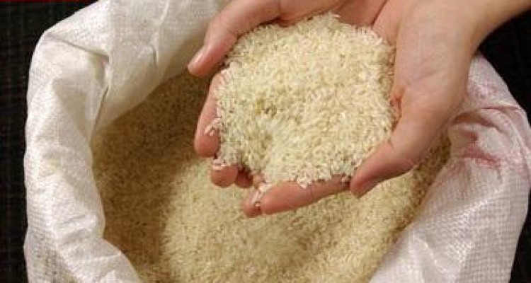 چگونه برنج پلاستیکی را تشخیص دهیم؟ 