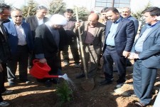 غرس بیش از 150نهال در هرسین در اولین روز از هفته درختکاری 