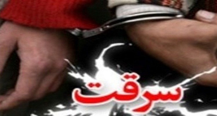 کاهش 15 درصدی وقوع سرقت در شهرستان هرسین