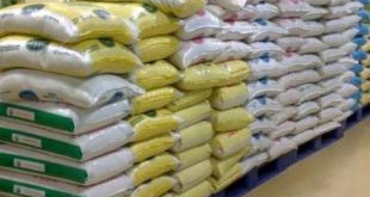 واردات برنج را خدا آزاد کرد یا وزرای تاجر دولت؟ / شالیزارهای شمال ویلا می شود
