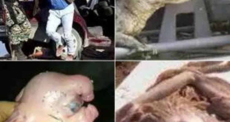 مروری بر شایعات شاخدار فضای مجازی ایران/ از خاکسپاری هیولا در جنوب کشور تا انفجار مرگ بار و صادرات کفن به کرمانشاه