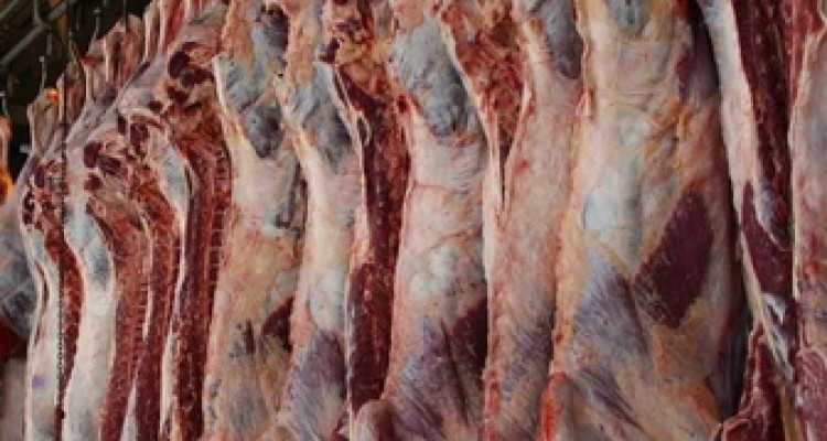 اولین محموله گوشت گرم گوسفندی روز گذشته در هرسین توزیع شد