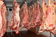 ضبط بیش از 200 کیلوگرم گوشت کشتار غیرمجاز  در هرسین