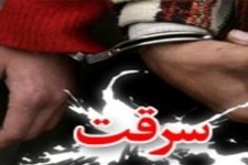 دستگیری 22 سارق در هرسین 
