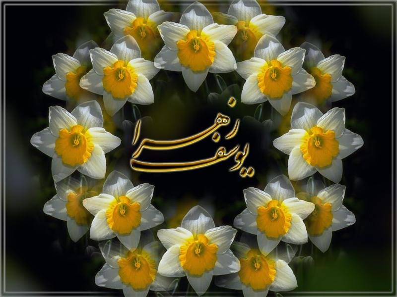 مولای من....