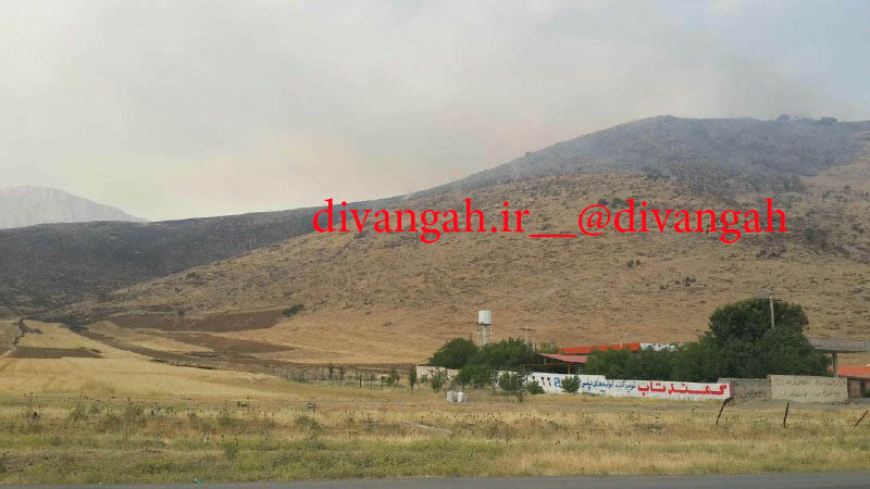 حدود 70 هکتار از مراتع بخش بیستون دچار حریق شد