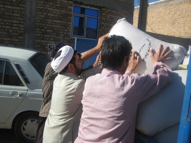 جمع آوری 2تن زکات غلات از روستای نادرآباد بخش بیستون