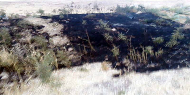 آتش به جان باغات روستای چغاکبود هرسین  افتاد