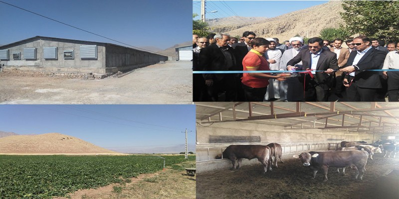 افتتاح چندین طرح کشاورزی ، دامپروری و عمرانی در شهرستان هرسین