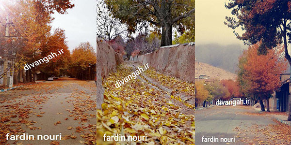 تصاویری بکر و زیبا از فصل برگریزان پاییز در هرسین