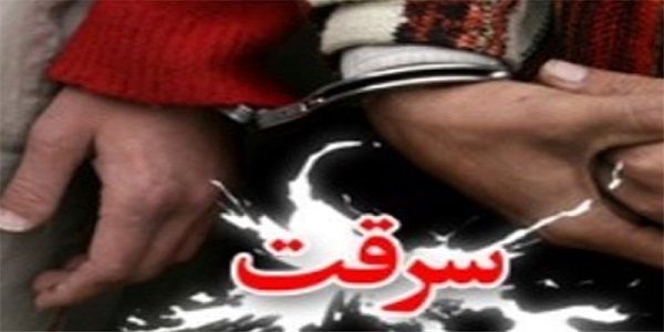دستگیری 22 سارق در هرسین 