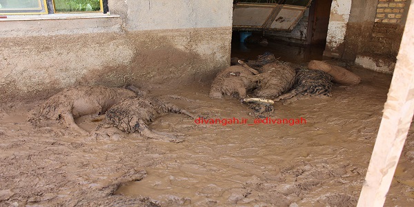 تصاویر از وضعیت بحرانی روستای کهریز در هرسین/ سیل همه چیز را با خود برد