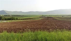 اجرای پروژه رفع تداخل اراضی زراعی در شهرستان هرسین