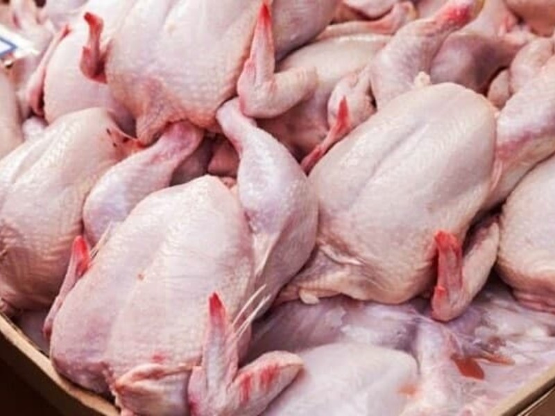 مشکل کمبود مرغ در هرسین در حال رفع شدن است/ ارسال 15200مرغ زنده به کشتارگاه های استان