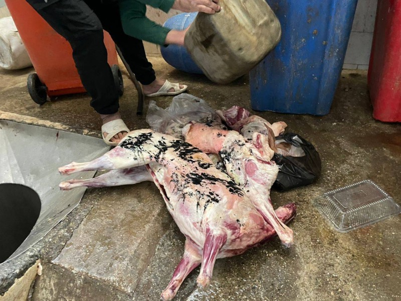 ضبط و امحا۵۳کیلو گوشت کشتار غیر مجاز در هرسین/ استمرار بازرسی ها تا ساماندهی نهایی