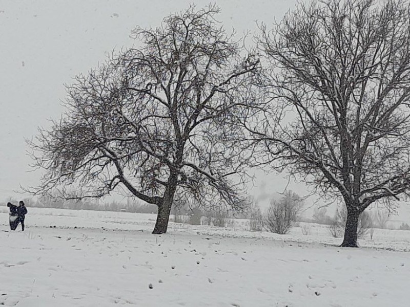 تصاویر زیبا از بارش برف در هرسین