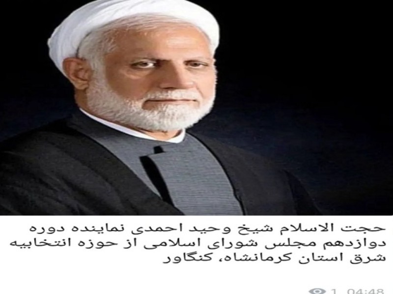 وحید احمدی با بیشترین آراء به مجلس راه یافت