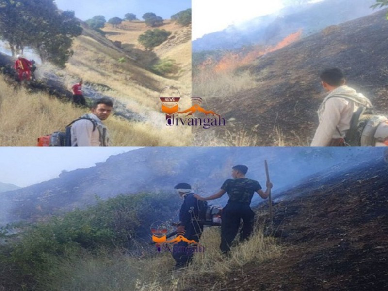 آتش سوزی در روستای میرمینگه بخش مرکزی هرسین مهار شد