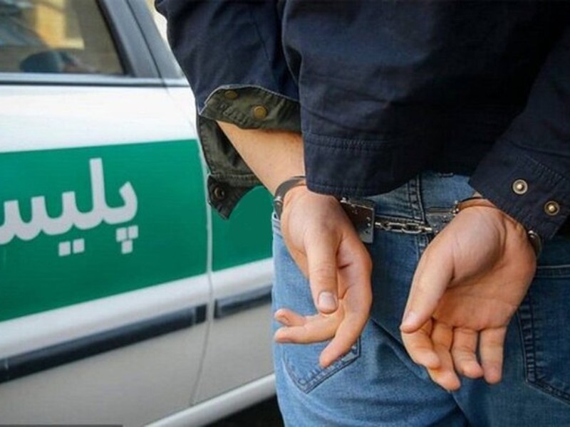 دستگیری سارق حرفه ای در هرسین