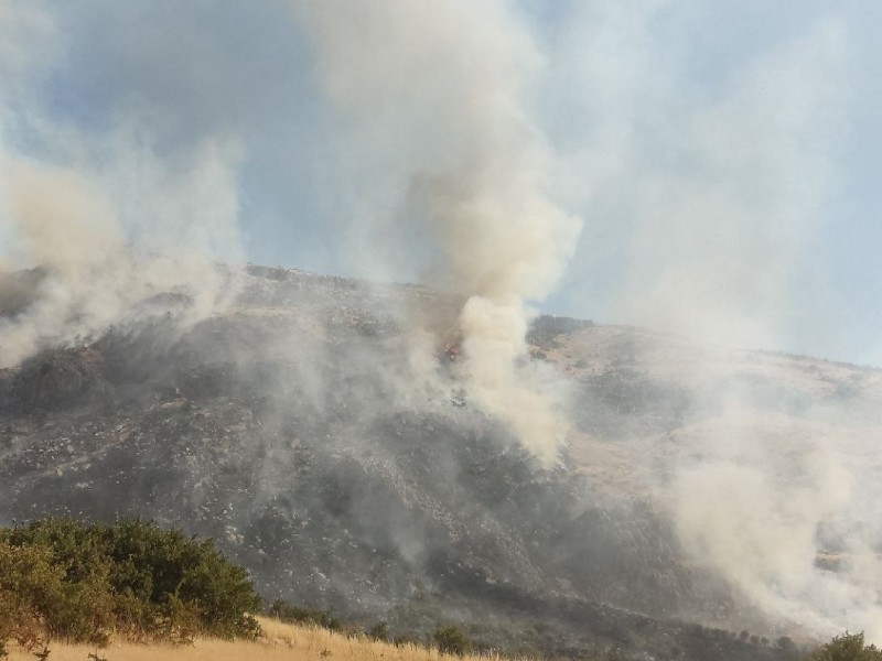 بخش وسیعی از اراضی ملی در هرسین در آتش سوخت+عکس و فیلم
