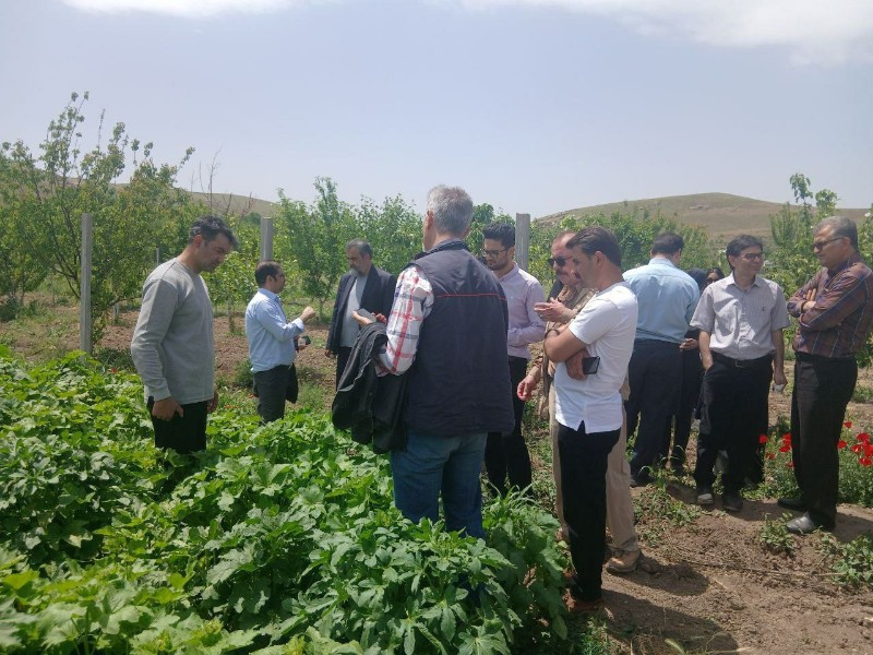 حضور اساتید برجسته داروسازی کشور در شهرستان هرسین