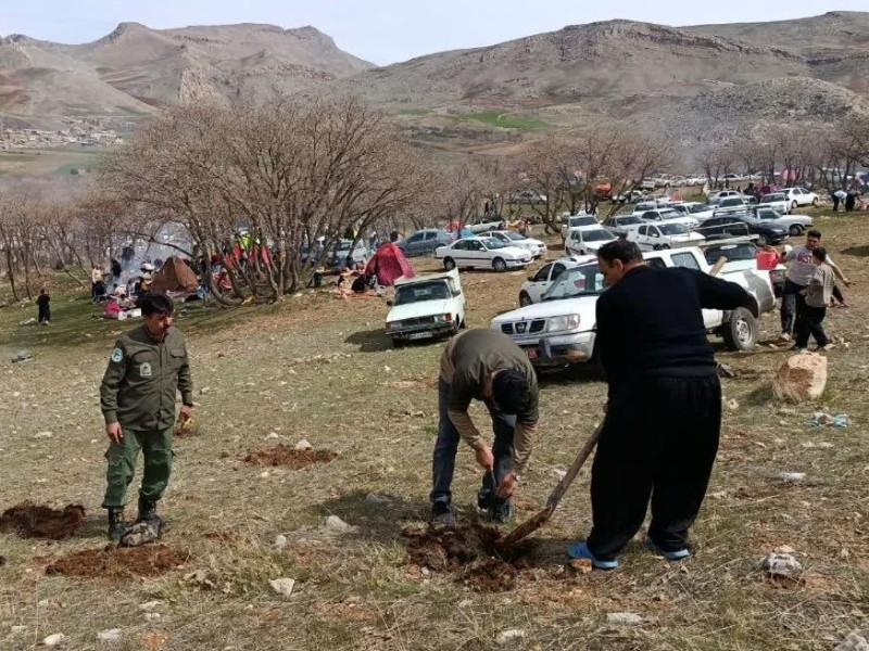 پویش سرو ایران در جنگل سراب بادیه هرسین